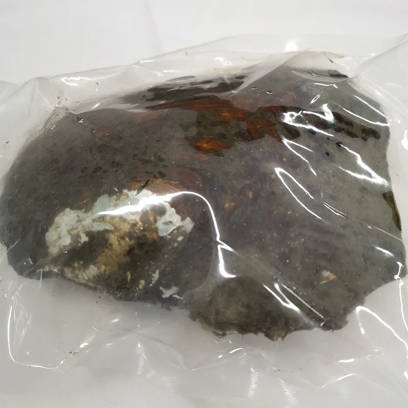 DMKB0055 Большая Вакуумная посылка бусины из натурального пресноводного жемчужная Мидия в виде ракушки Сюрприз подарок