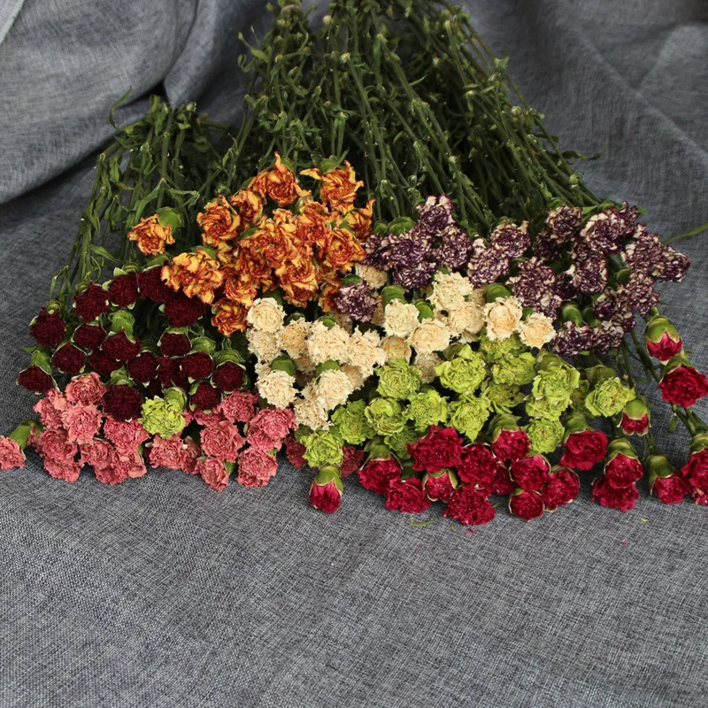 

Promotion New Mini Rose Natural Air-Dried Carnation Literary Home Decor Wedding Flower Romantic DIY Photography Bubble Backdrop