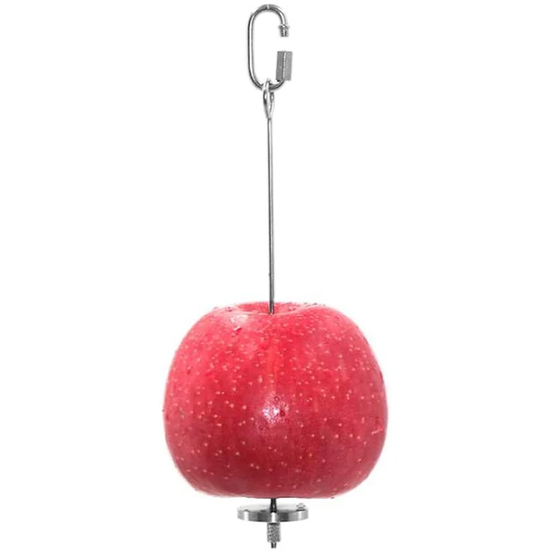

2 Pcs Parrot Skewer,Stainless Steel Vegetable Fruit Stick Hanging Holder Birds Foraging Toy Spear Feeder