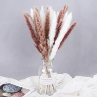 15pcs natural dried flowers decor boho real pampas grass artificial plants mariage room decoration home christmas accessories