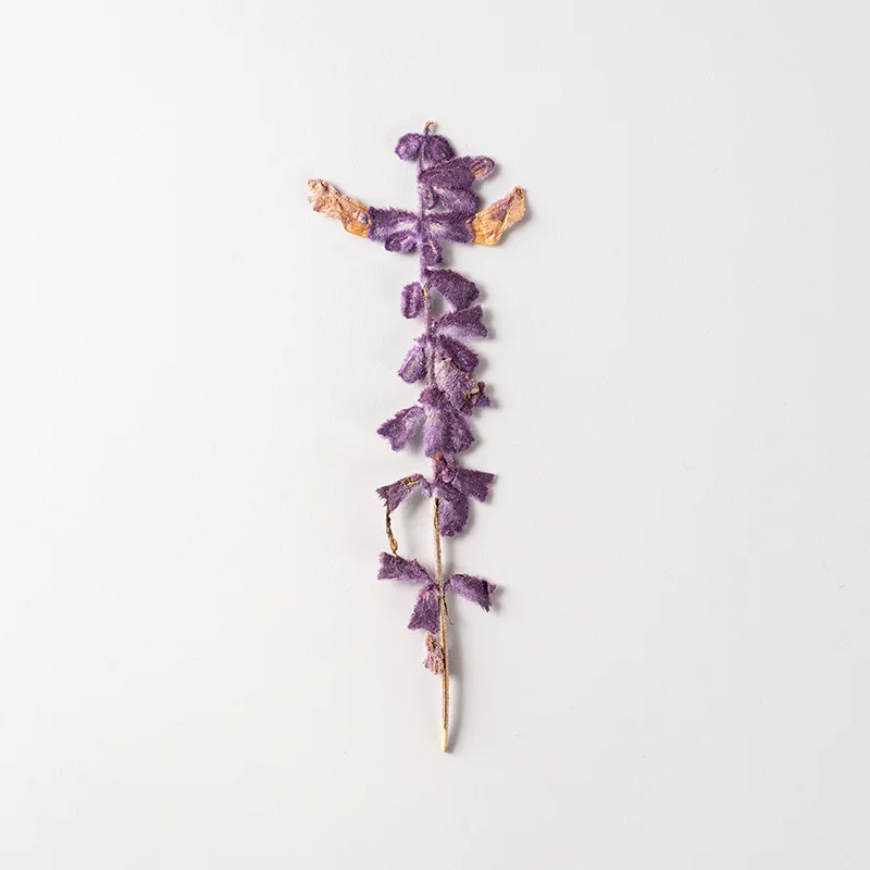 250 шт. искусственные цветы Salvia великолепная var.atropurpura гербарий для макияжа