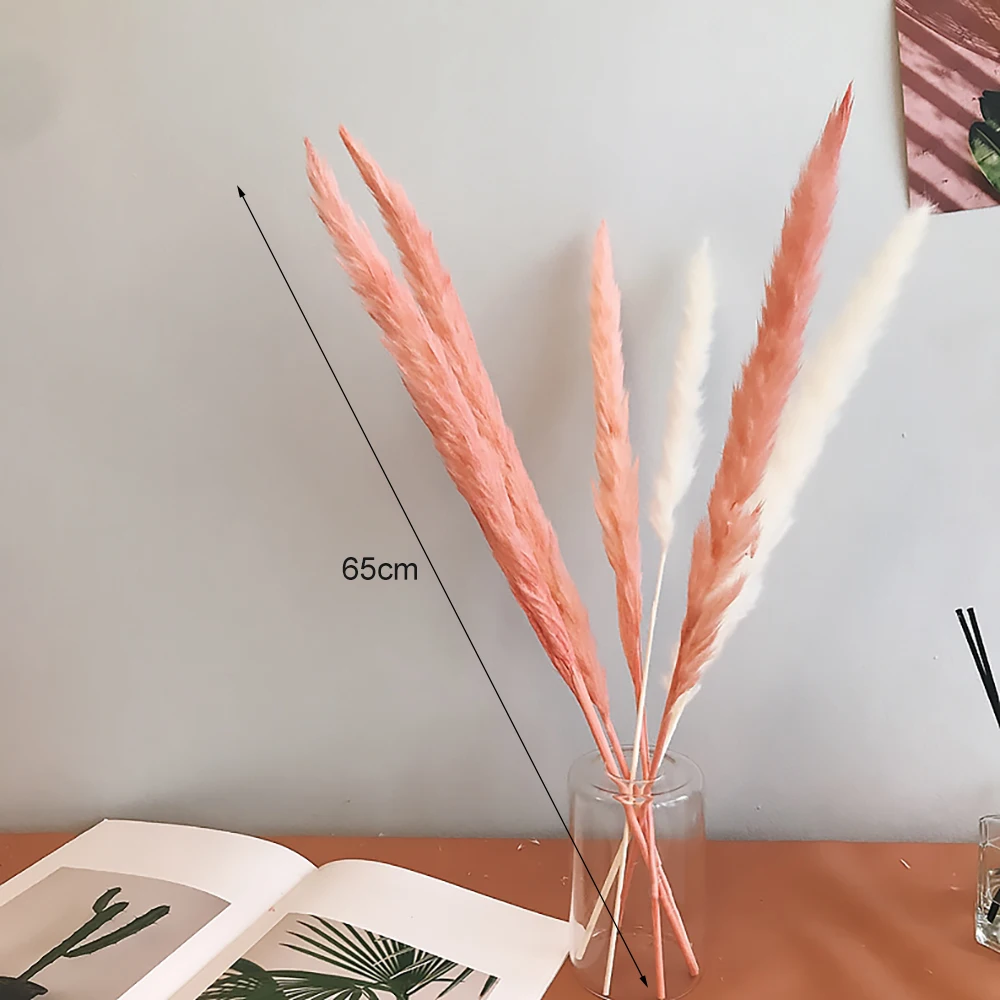 DIY Bulrush Натуральные Сушеные маленькие Pampas трава Phragmites домашнее рождественское