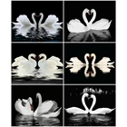 Набор для рисования по номерам на холсте животное, 40x50 см