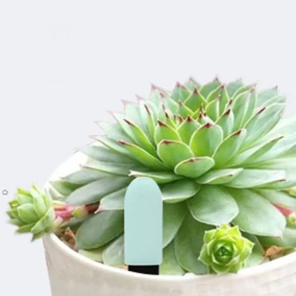 Цветок и датчик для растений Интеллектуальный цветочный штекер мониторинга