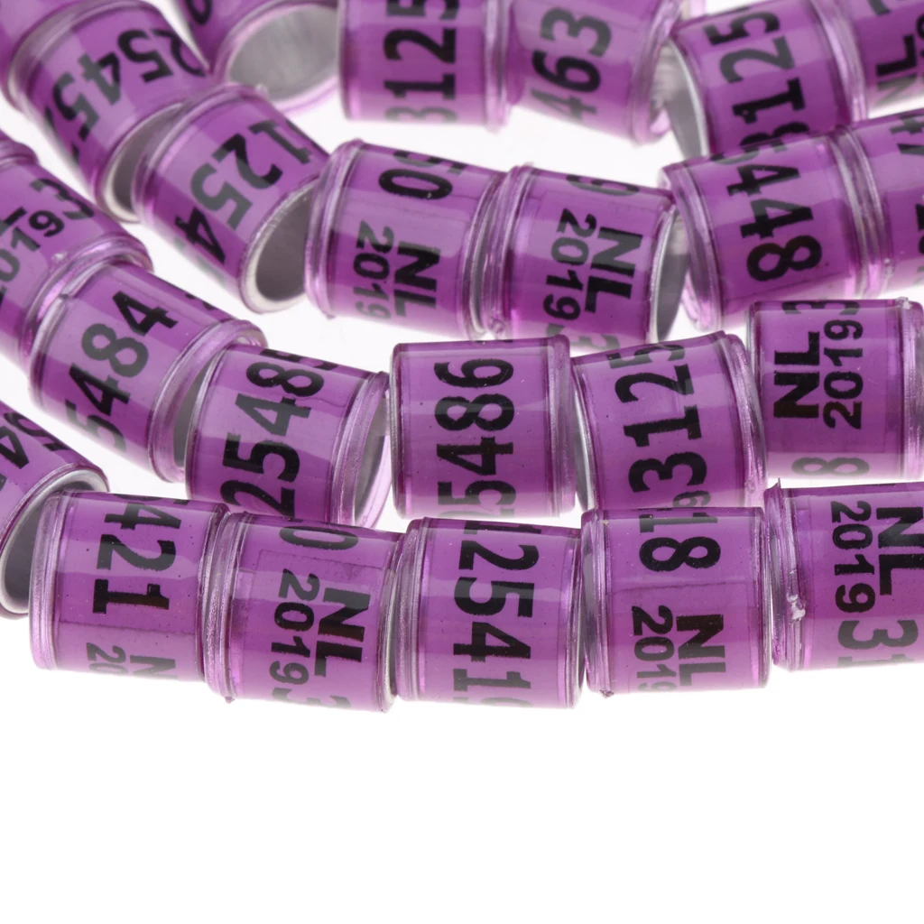 

100 . NL Word () reusulable Bird Foot Band Clip