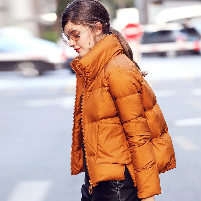Зимняя женская куртка Женское пальто с хлопковой подкладкой осень 2019 теплая