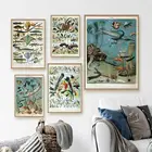 Французский Винтаж Морские обитатели наземная флора и фауна плакат живопись на холсте Бабочка печать растения животные настенные картины