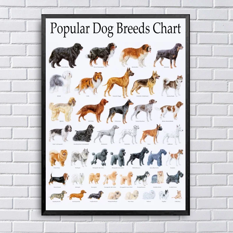 

Canvas Wall Art Popular Dog Breeds Chart Home Decor Animal Printed Poster Nordic Painting Modern Decoration Kawaii Room Decor