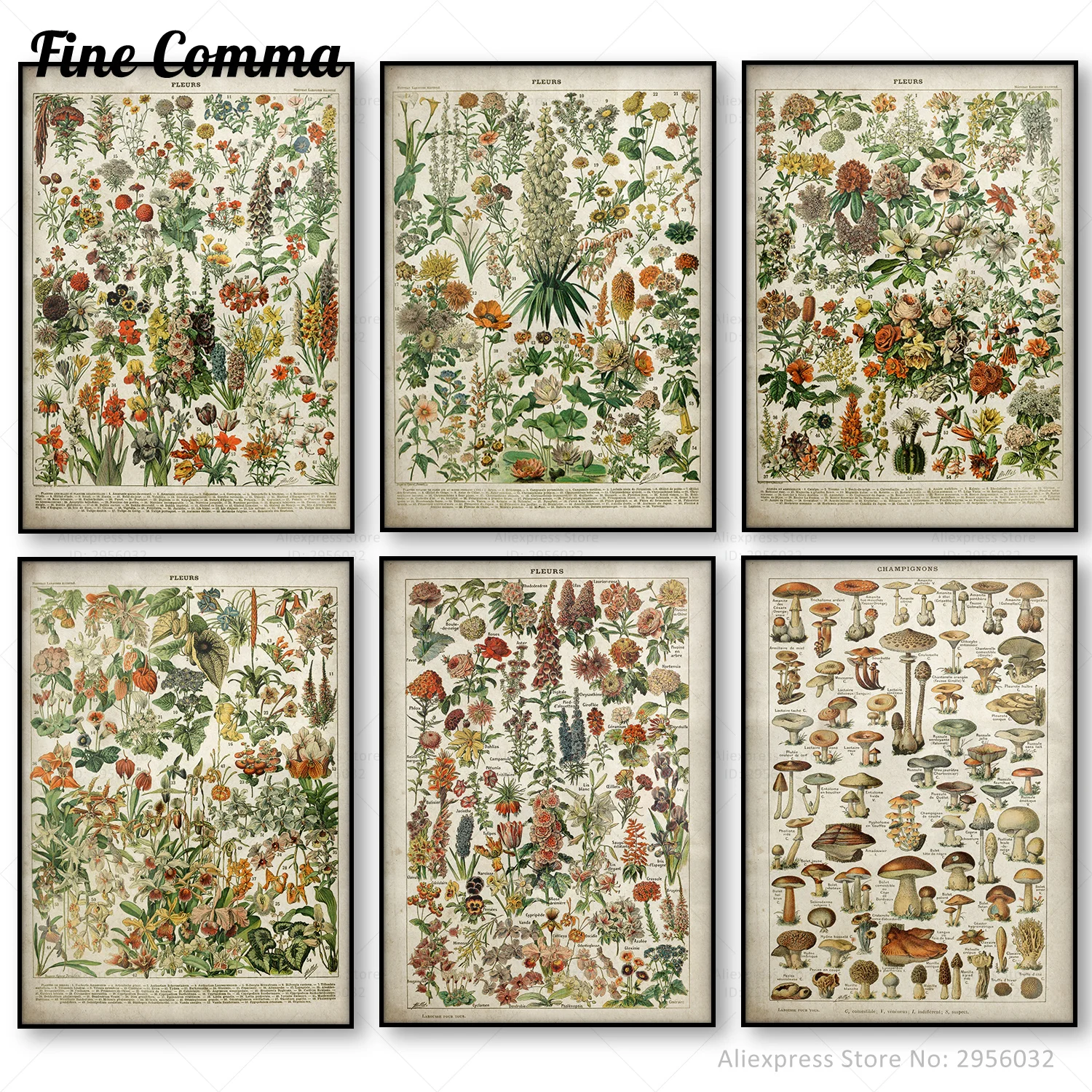 Винтажный цветочный постер старинный холст с принтом растительный учебный
