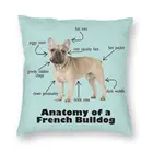 Квадратная подушка в скандинавском стиле с изображением анатомии французского бульдога, декоративная подушка для влюбленных, диванная подушка для гостиной