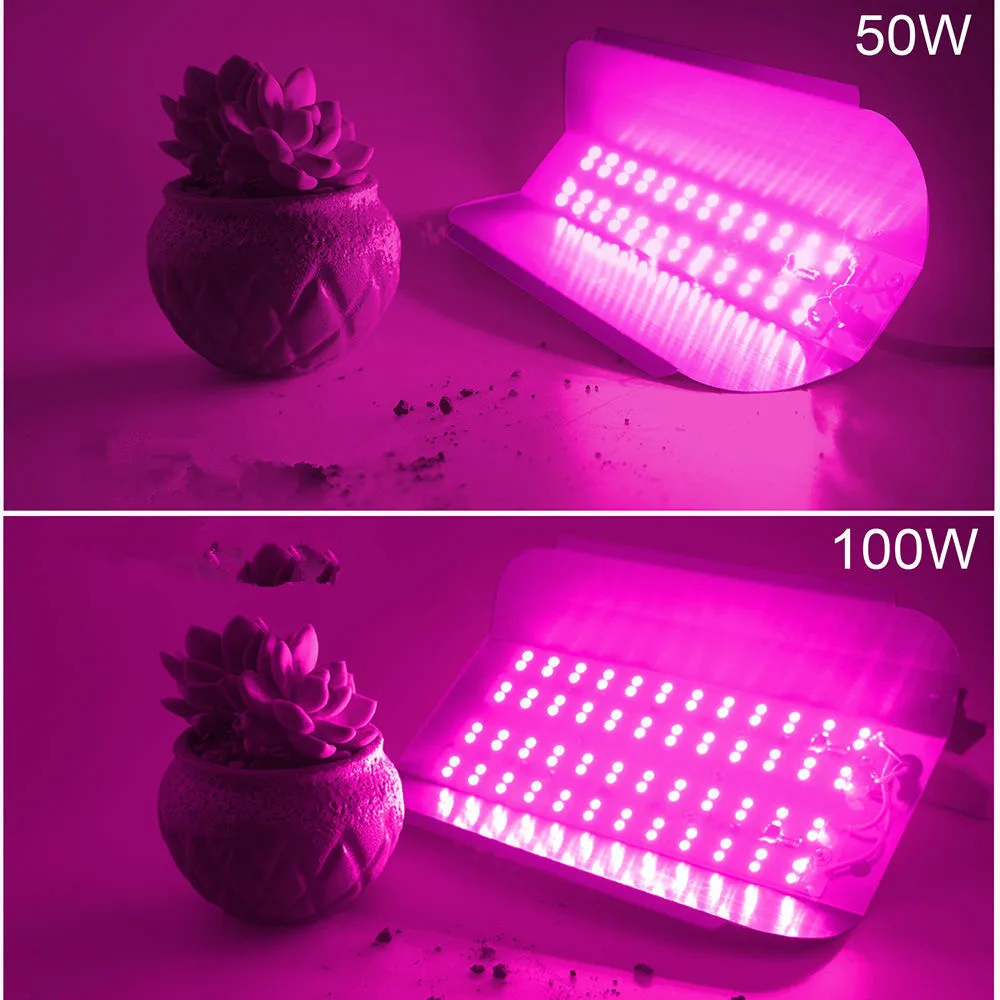 LED COB lodine tungsten Spectrum LED grow pink 380-840nm 100W 50W AC 220V 110V led IC plant lights  fllood light Vegetable plan
