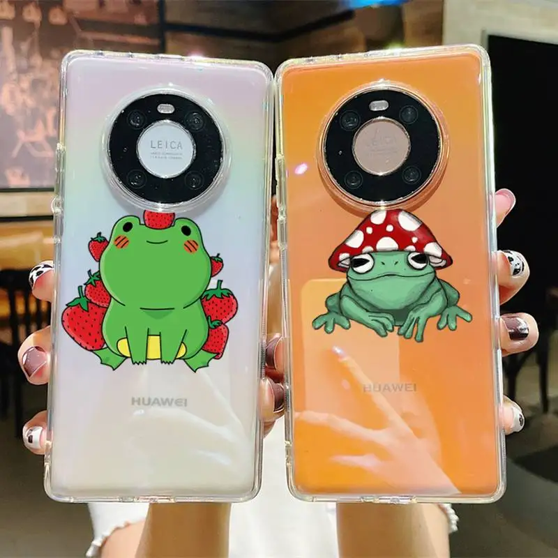 

Mint green Funny The Frog cute cartoon Phone Case For Huawei P20 30 pro lite Psmart 2019 Y5 6 7 Honor 8 10 i lite Mate 20lite