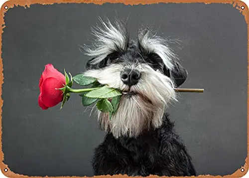 Танцор Танго винтажный вид металлический знак патент художественные принты