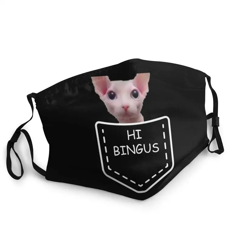

Карманная неодноразовая маска для лица Hi Bingus, маска для взрослых без волос, против пыли и смога