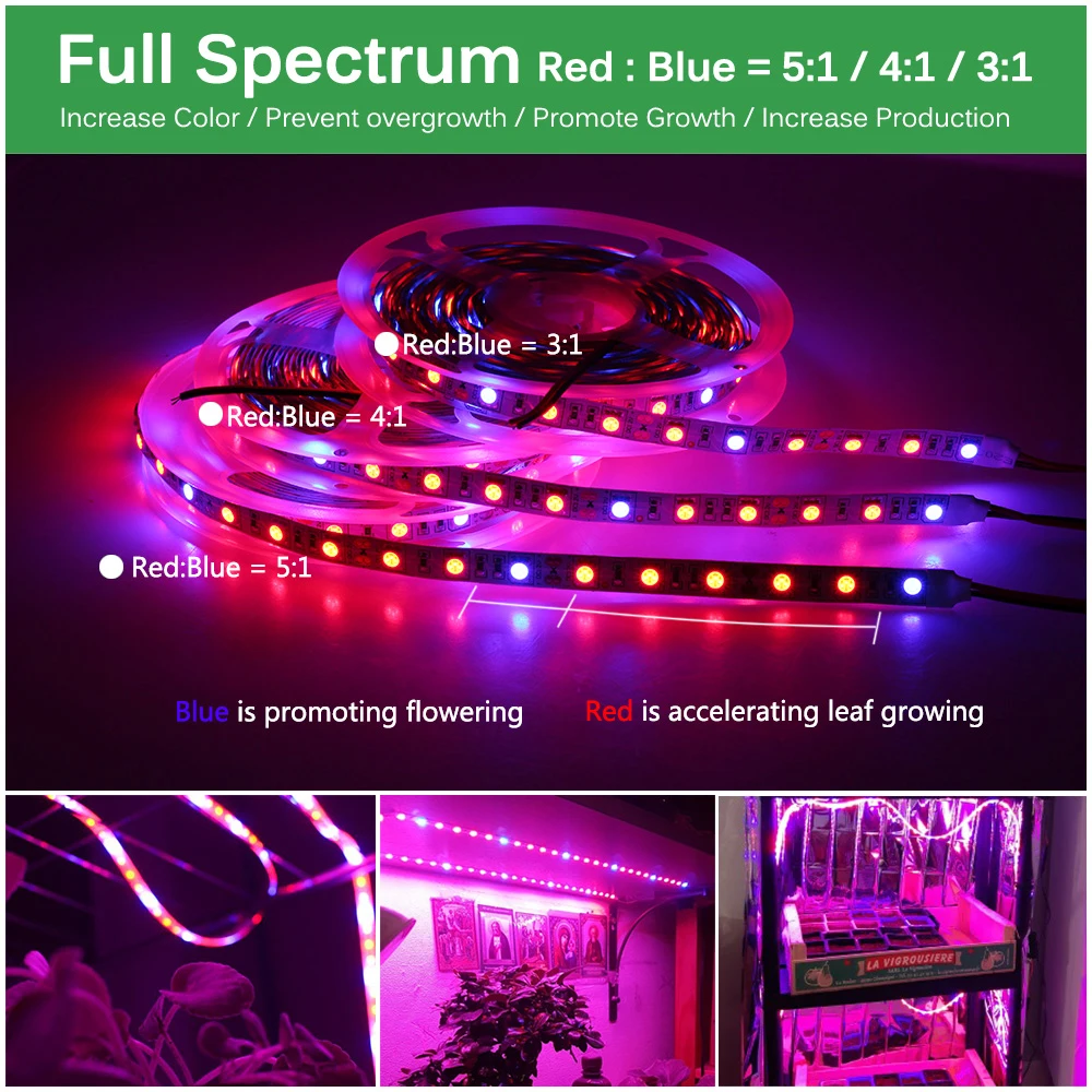 LED Grow Light DC12V Растущий Светодиодные полосы роста растений Set с адаптером и