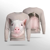 funny pig 3d printed women for men sweater sweatshirt autumn fashion streetwear pullover long sleeved shirt 06