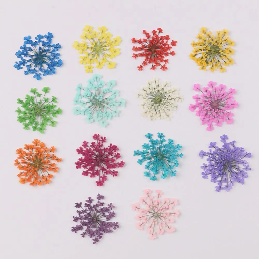 

100 шт. натуральные прессованные декоративные сухие цветы, сушеные цветочные лепестки, искусственные цветы