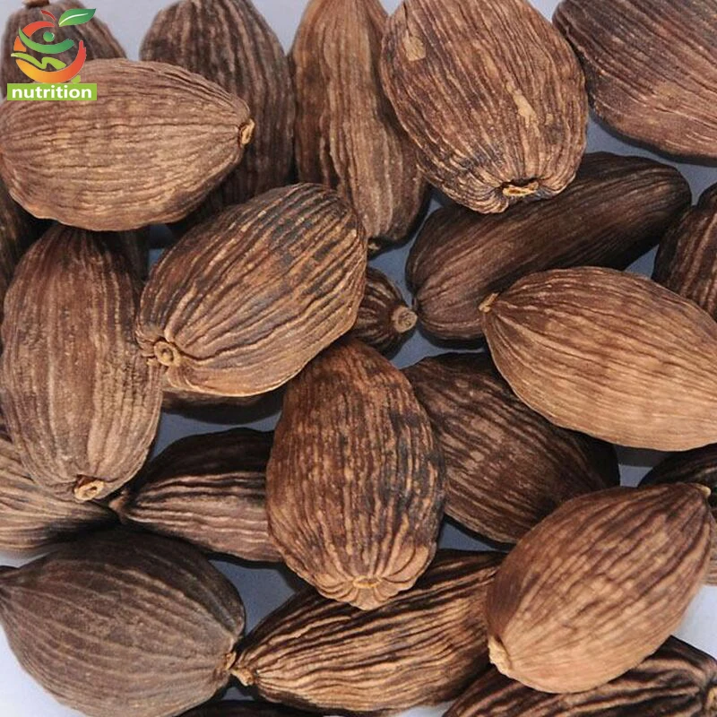 

Natural Hay Fruit Cao Guo Cao Guo Amomum Fruit , Amomum Fruit
