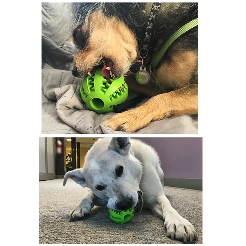 Прочный резиновый материал жевательные зубные протезы для собак и щенков чистые