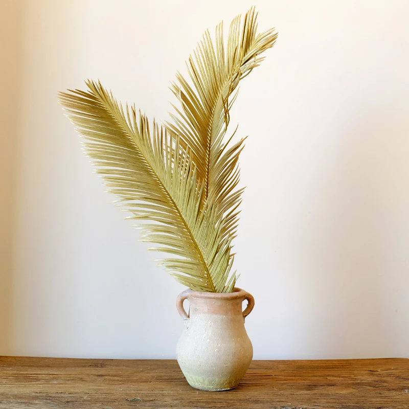 

Natural Dried Plant Sago Cycas Branch Fruticose Dracaena Leaf Dry Palm Fan Leaves Wedding Party Home Table Decoration Accessory