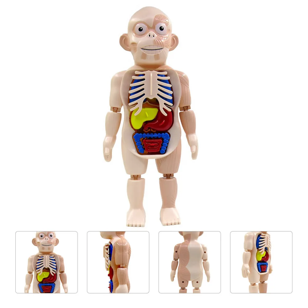 

1 Set of Educational DIY Gift Assembled Mold Assembled Model