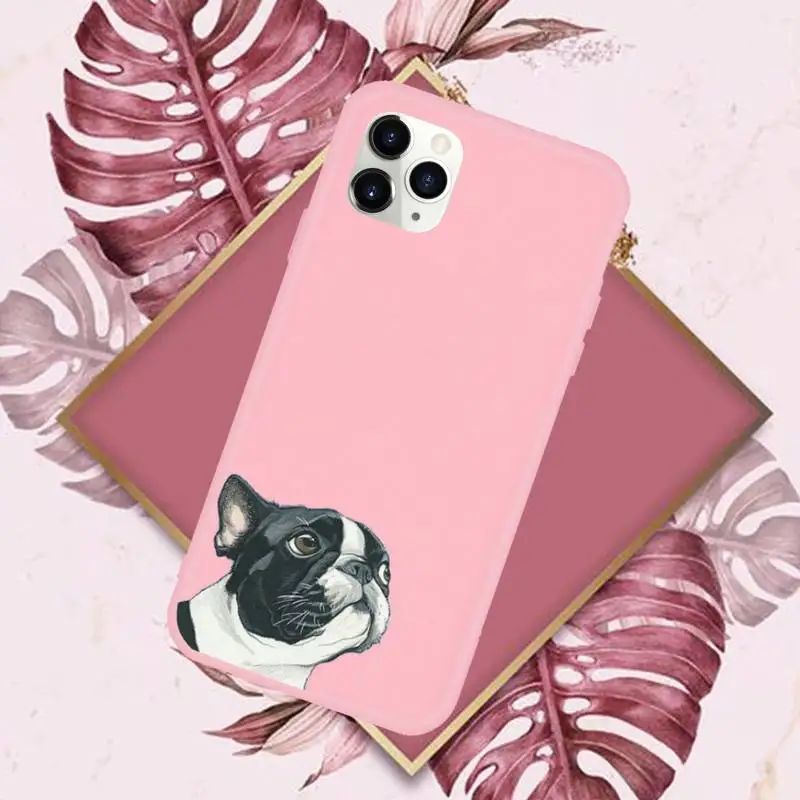 

Pug Bulldog Cute dog Phone Case Candy Color for iPhone 6 7 8 11 12 s mini pro X XS XR MAX Plus