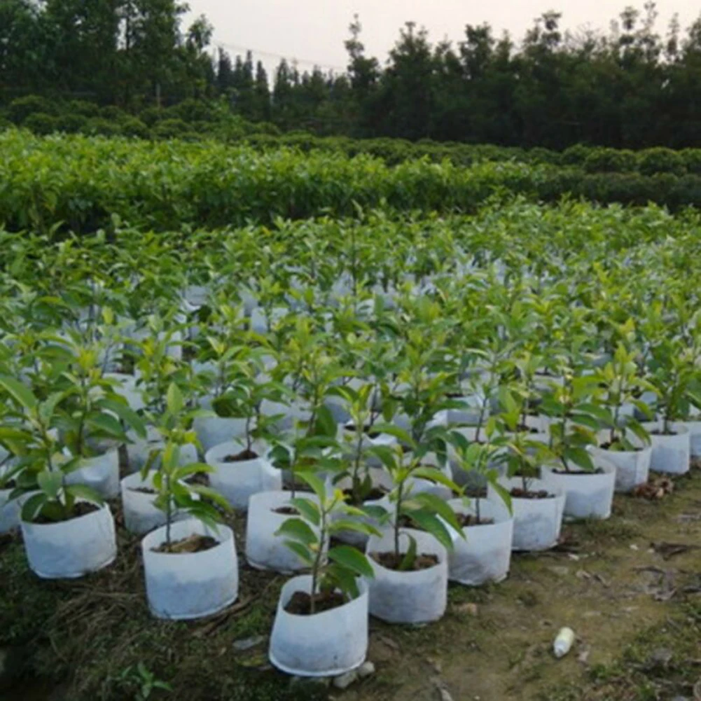 

10 Pcs Fabric Pots Root Plant Pouch Round Aeration Container Nonwoven Cloth