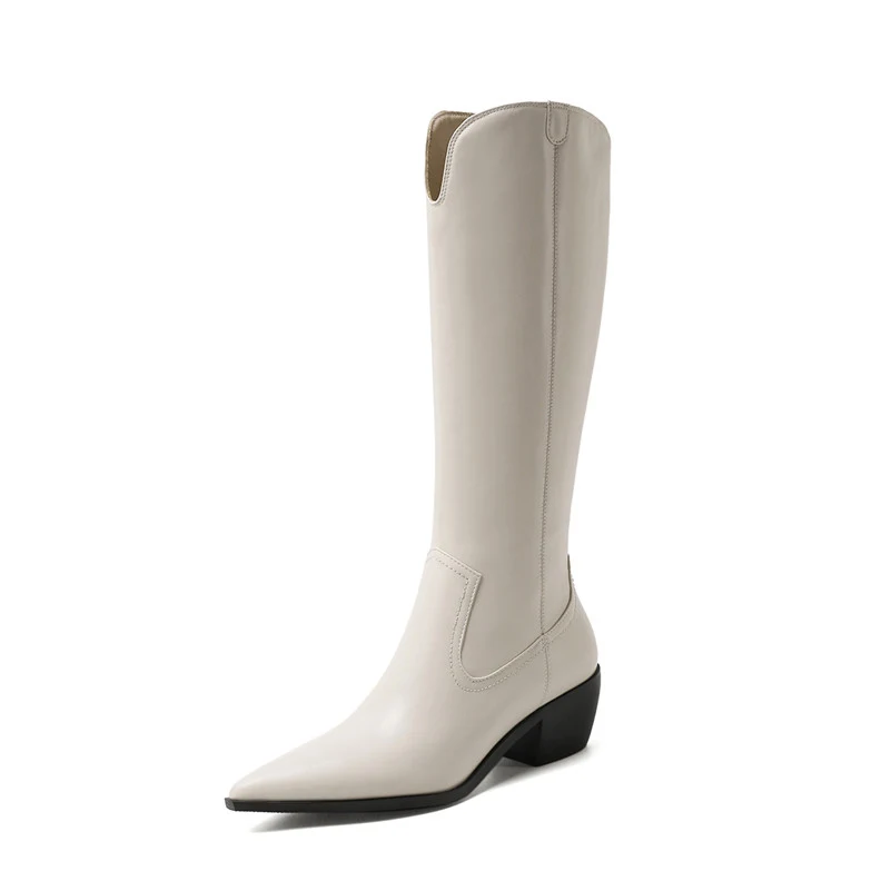 

ANNYMOLI High Heel Woman Boots Pointed Toe Knee High Boots Chunky Heel Long Boots Zip Female Shoes Autumn Winter White Size 46