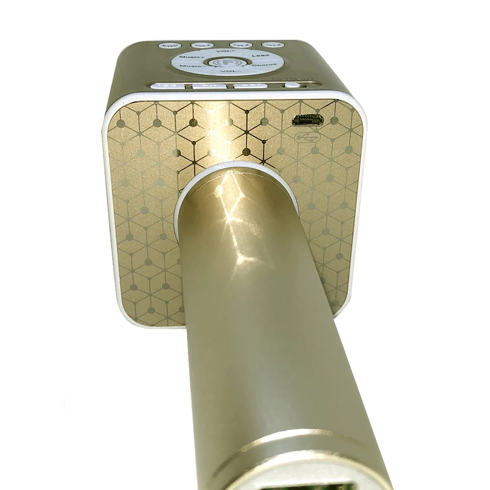 Система караоке Funtastique Nex Gold FM01G | Электроника