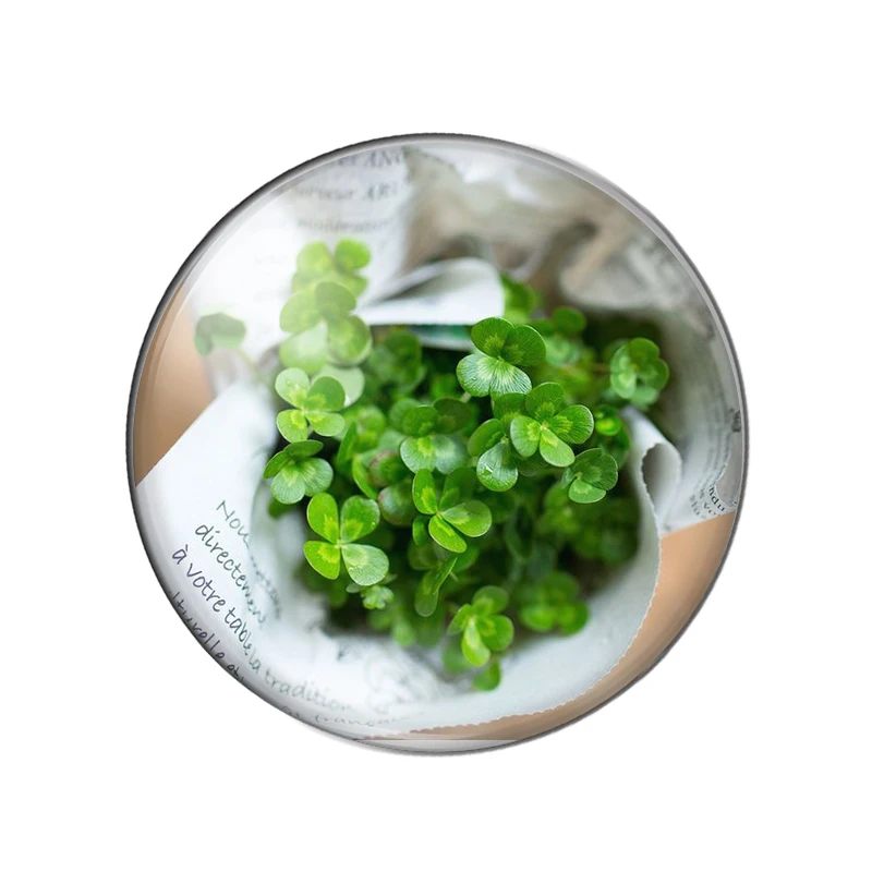 Красивый четырехлистный клевер удачи 8 мм/10 мм/12 мм/круглый фото стекло кабошон