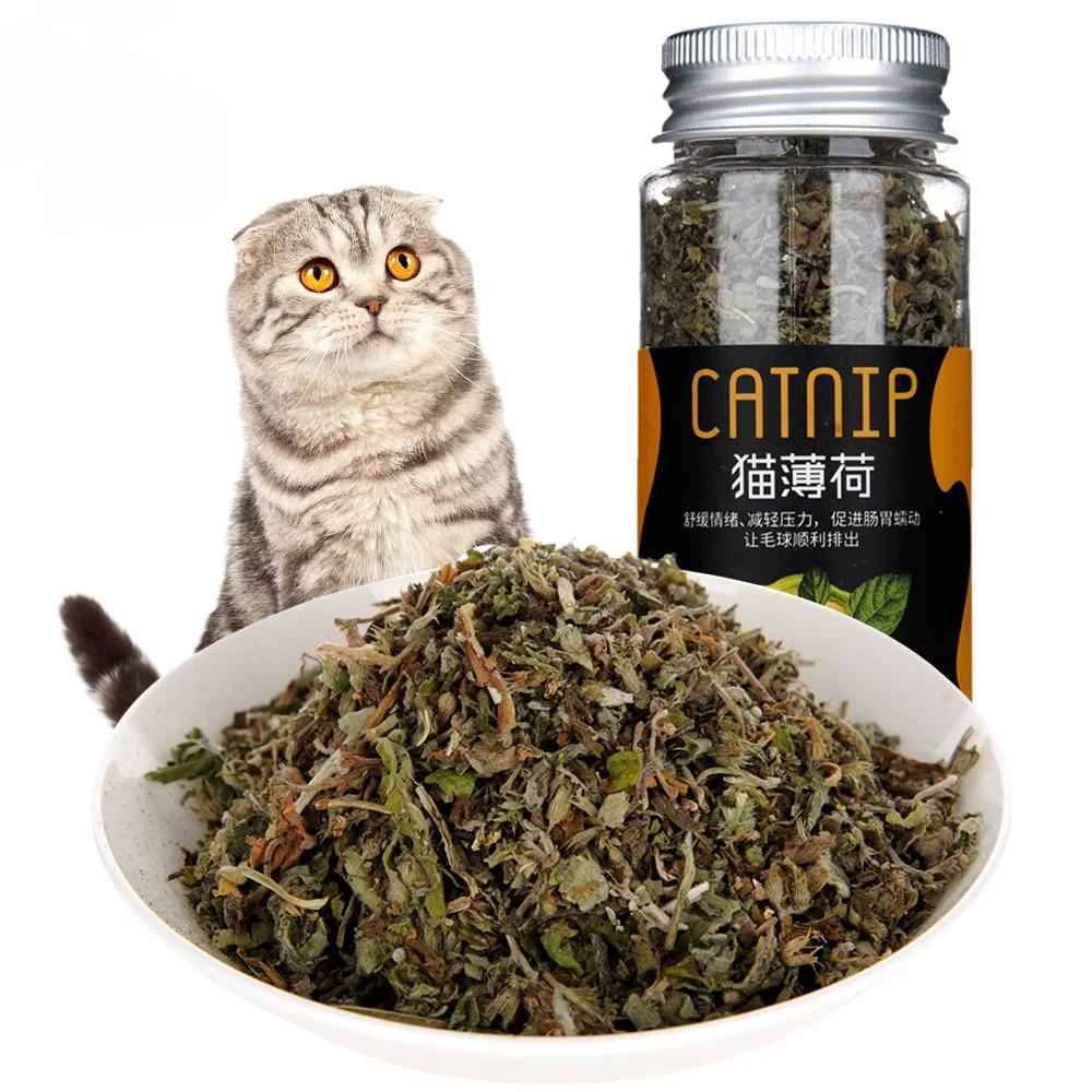 

Canned organic 100% natural high-quality catnip cow grass mint flavor catnip interactive toy healthy safe edible for clean teeth