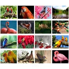 Картина из страз 5D сделай сам, полноразмерная круглая мозаика с изображением птицы, попугая, фламинго, ручная работа, стикер, алмазная вышивка, украшение для дома