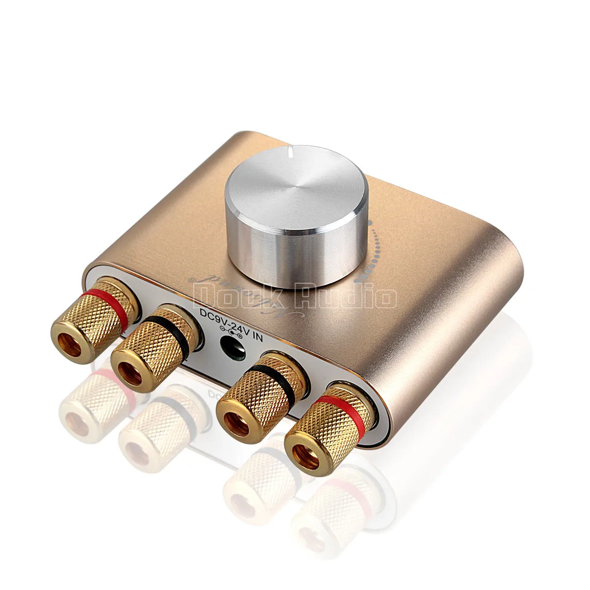 Золотой Douk аудио Hi-Fi Bluetooth 5,0 цифровой усилитель стерео 2,0 Ch мини TPA3116 мощный усилитель беспроводной аудио приемник DC12V - Цвет: Золотой
