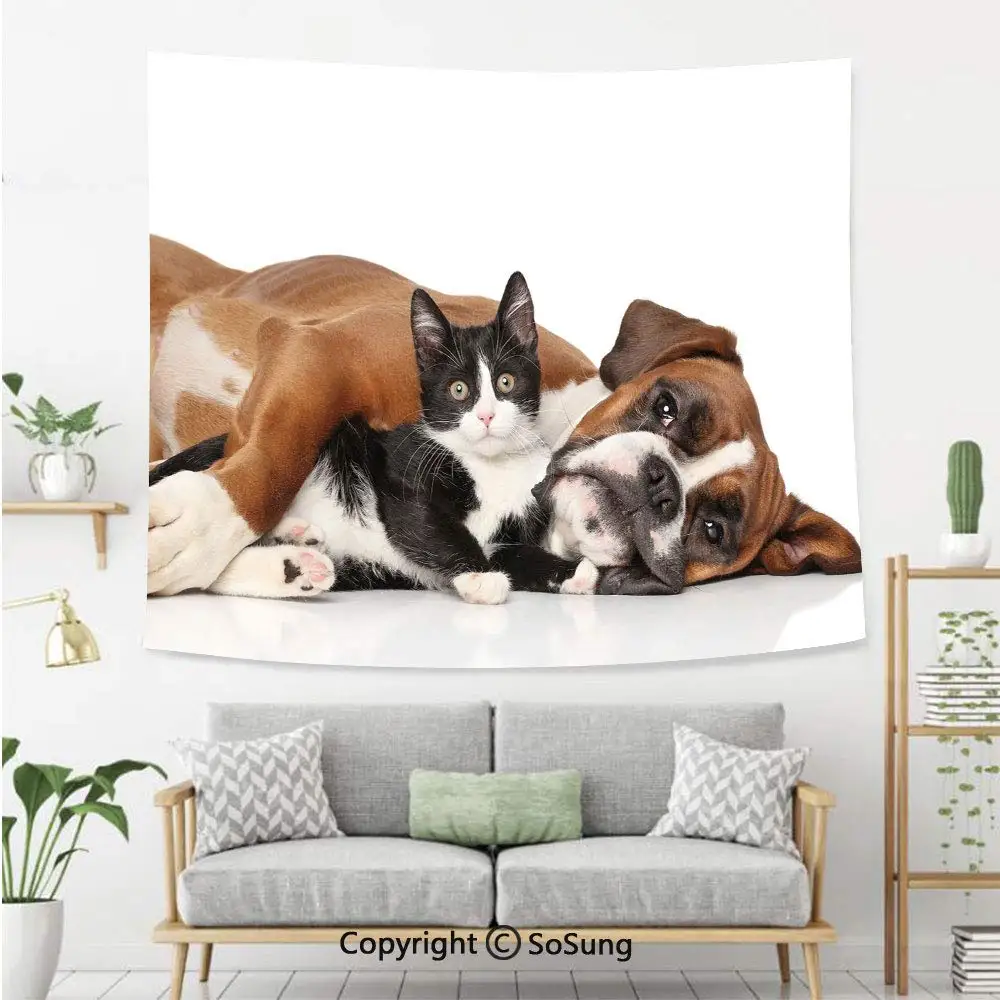 Кошка и собака лежащая на полу тема дружбы Симпатичные животные настенная