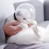 Изображение товара 5
