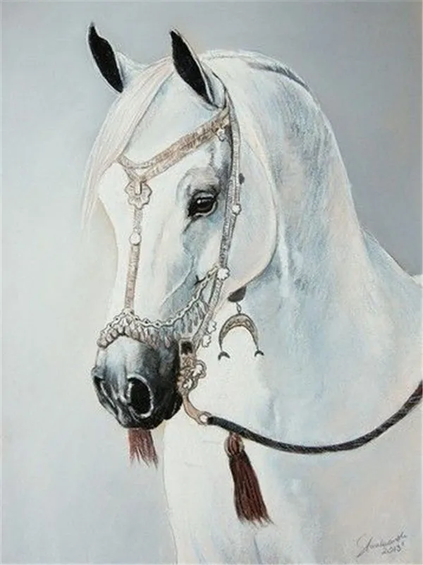 Полная Алмазная вышивка животное лошадь сделай сам алмазная Вышивка крестиком