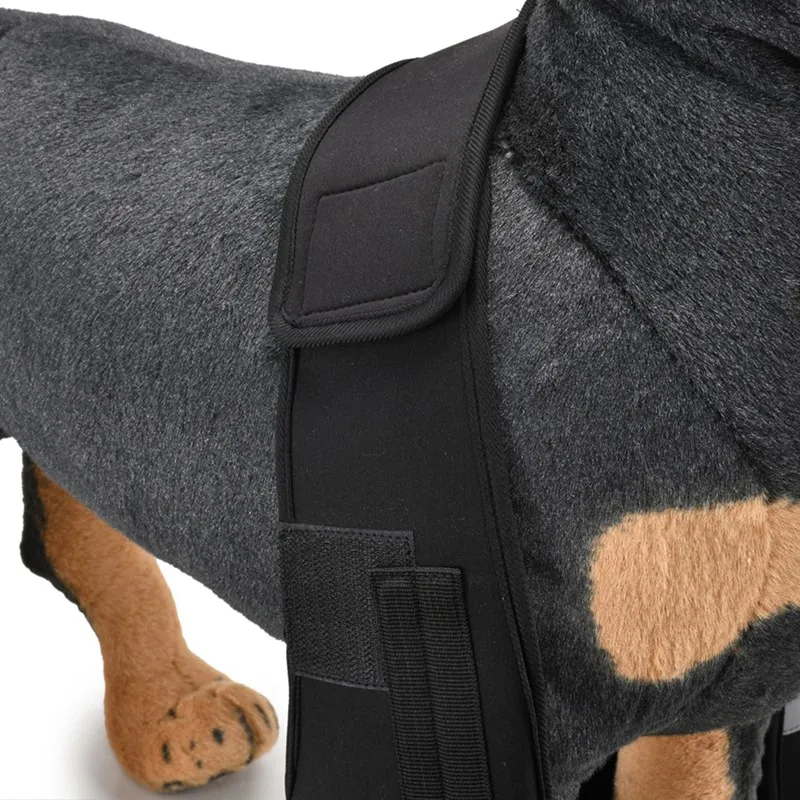 Принадлежности для собак 1 комплект защита локоть собаки дополнительная