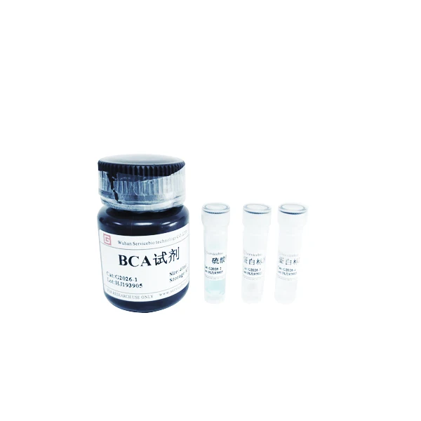 

BCA protein quantitative detection reagent kit