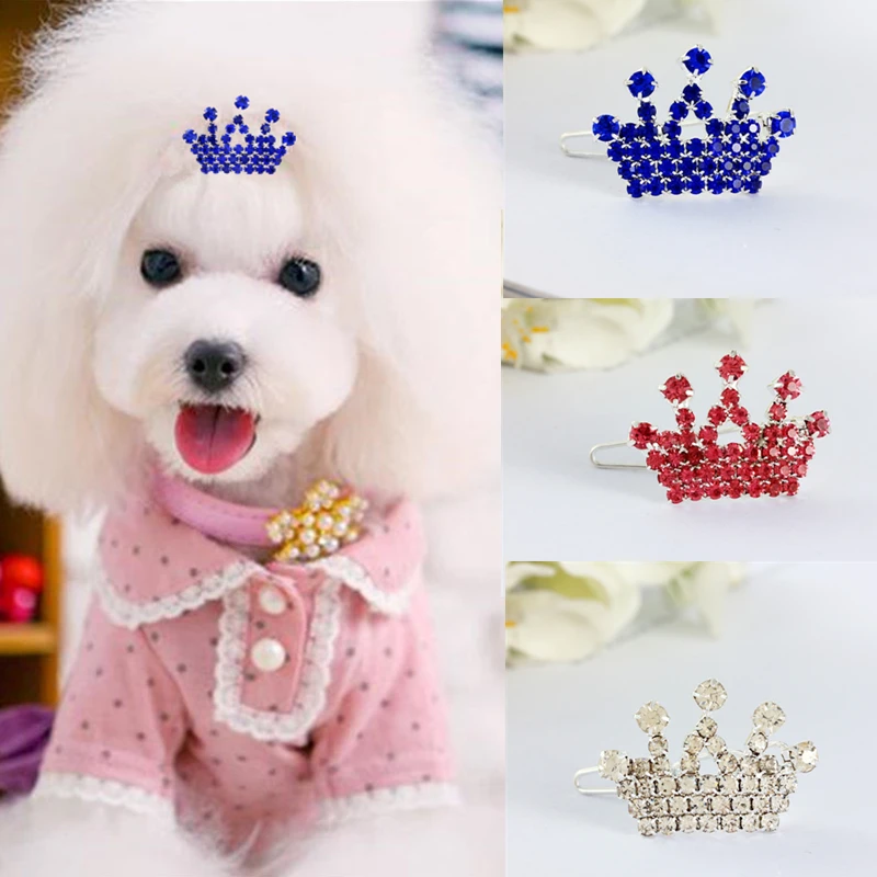 Горячая Распродажа аксессуары для собак домашних животных Уход за лошадьми