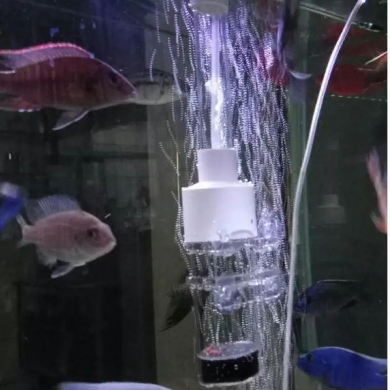 Инкубатор для аквариума инкубатор крышек яиц рассады рыб разведения|Большие и