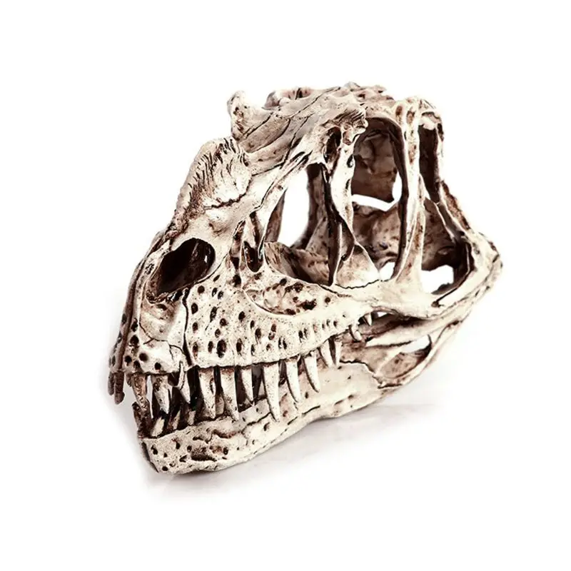 Кератозавр динозавр Череп каучуковые изделия ископаемый скелет обучающая