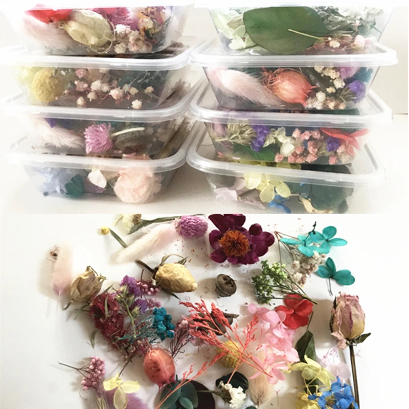 1 коробка натуральные цветы для наклеивания на ногти высушенные украшения сухой