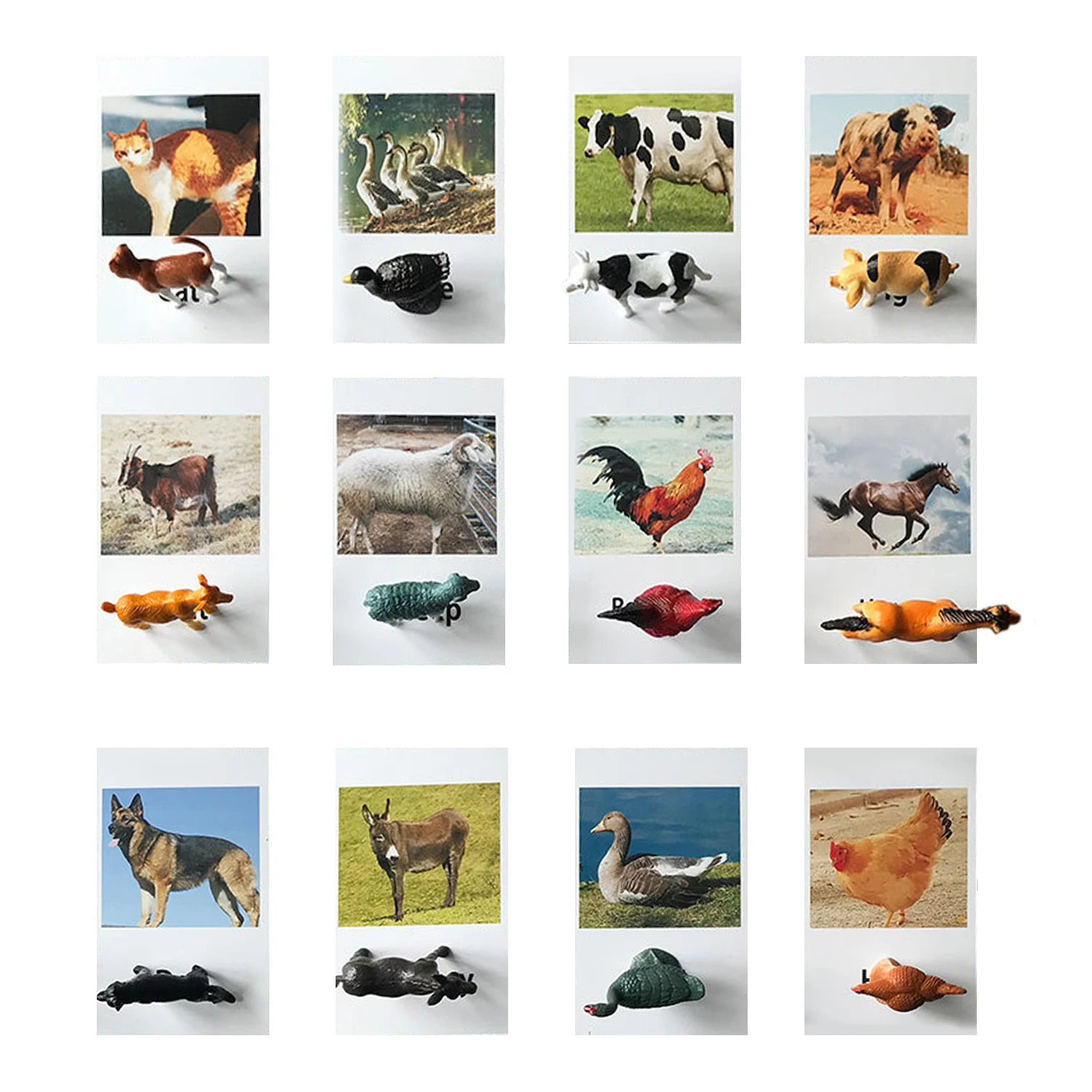 12 шт. дети насекомых животноводческая ферма животных морских Диких Животных