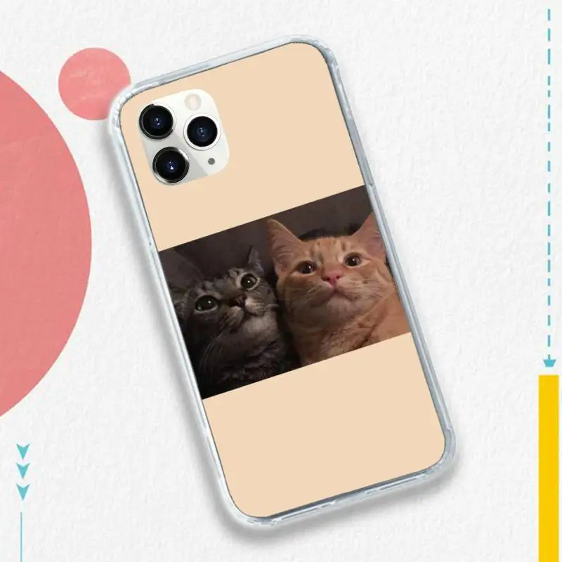 

cat dog Anime high quality Phone Case for iPhone 11 12 pro XS MAX 8 7 6 6S Plus X 5S SE 2020 XR