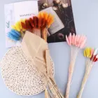 Букет из натуральных сушеных цветов, кроличий хвост, 30 шт.