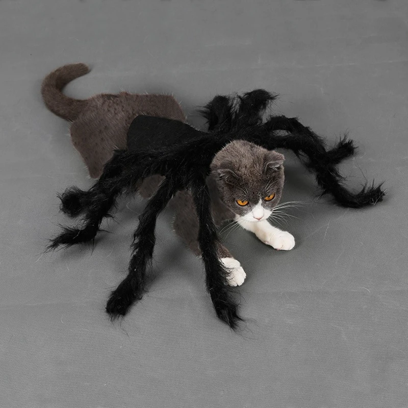 Пальто для кошек и собак одежда Хэллоуина плащ паук домашних животных куртка