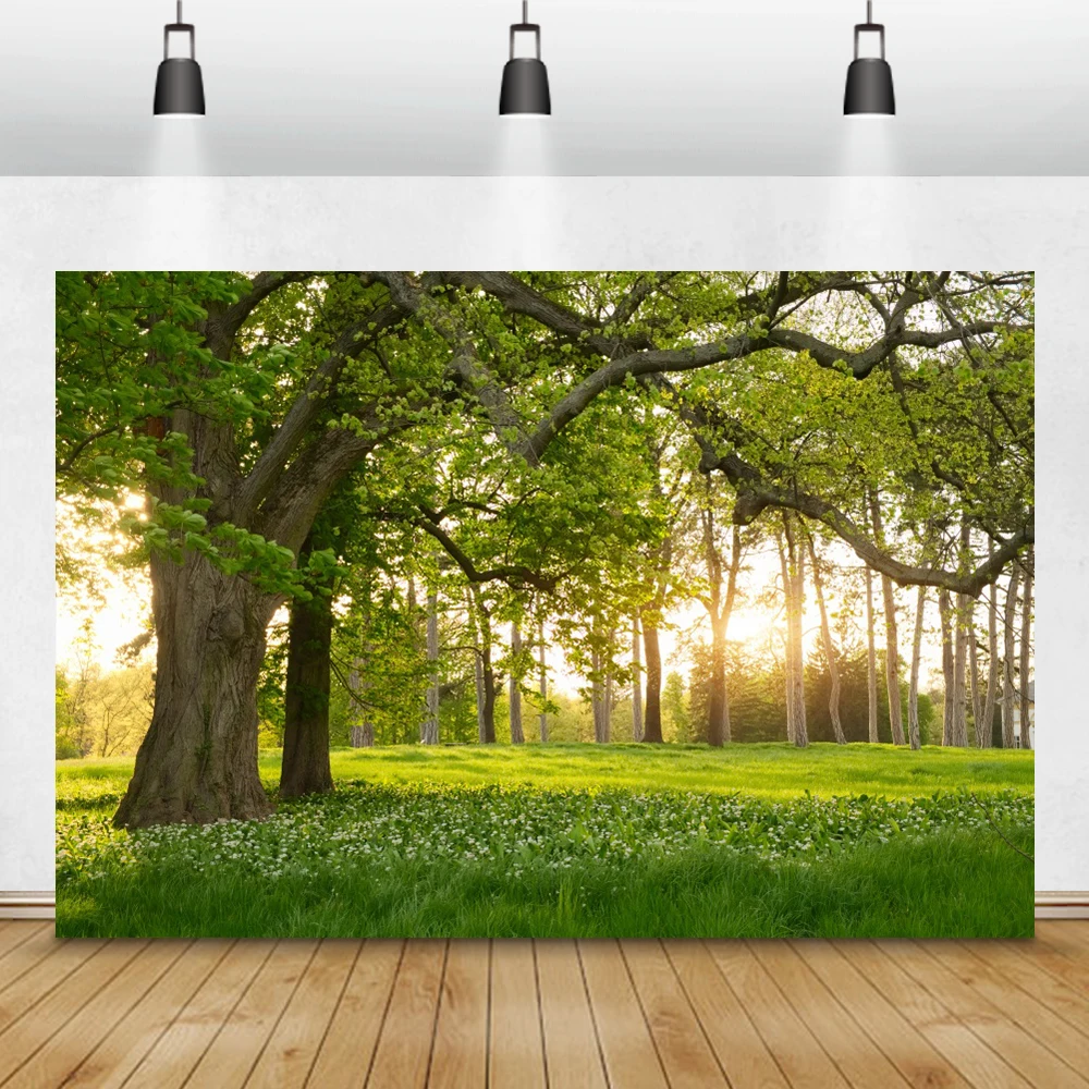 

Фон для детской портретной фотосъемки Laeacco с изображением солнечного леса луга цветов для фотостудии