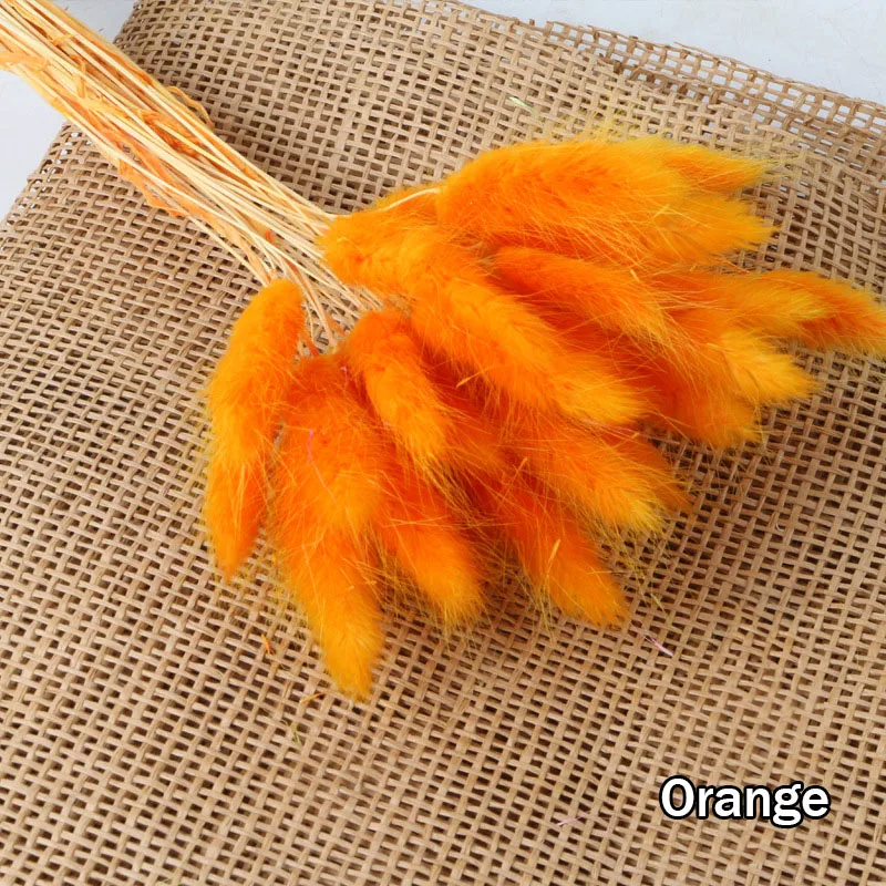 Партия натуральных сушеных цветов зайцехвост трава букет Красочный натуральный