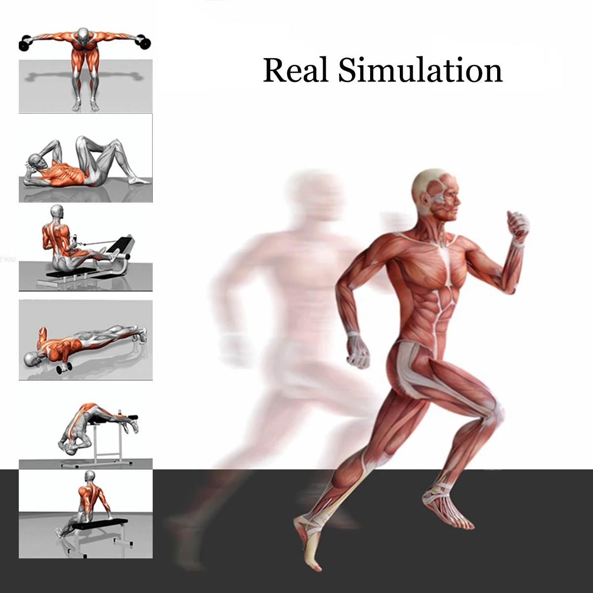 LCD Electric Muscle Stimulator Rechargable Abs Massage Vibrators Training Gear Body Relaxation EMS Trainer Equipment Set | Спорт и