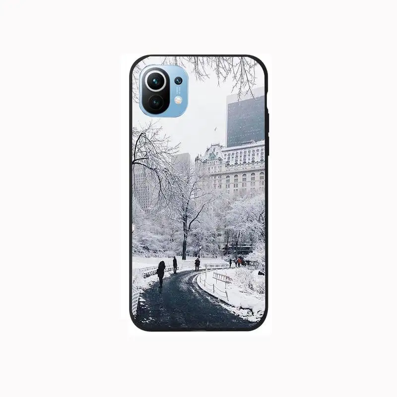 

Winter New York Central Phone Case For Samsung S6 S7 S8 S9 S10 E S20 Edge plus lite 2019 Black soft nax fundas cover